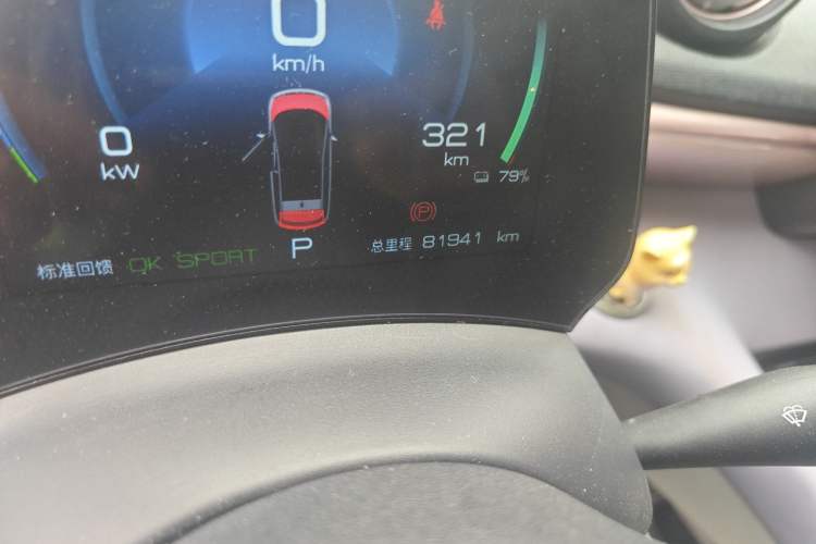 Used BYD Dolphin 2021 405 km Fashion Edition Odometer Close Up