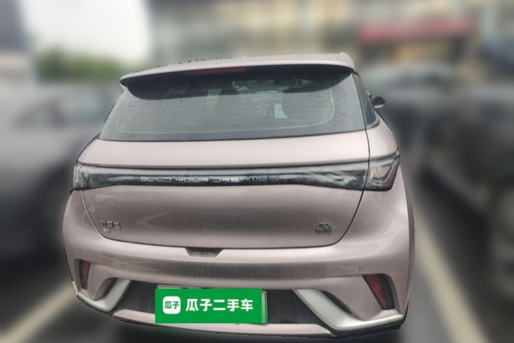Used BYD Dolphin 2021 405 km Fashion Edition Rear