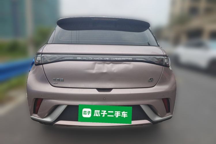 Used BYD Dolphin 2021 405 km Fashion Edition Rear