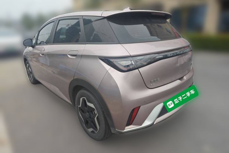 Used BYD Dolphin 2021 405 km Fashion Edition Rear Left 45 Deg