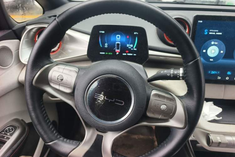 Used BYD Dolphin 2021 405 km Free Version Steering Wheel