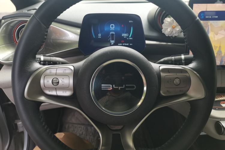 Used BYD Dolphin 2021 405 km Free Version Steering Wheel