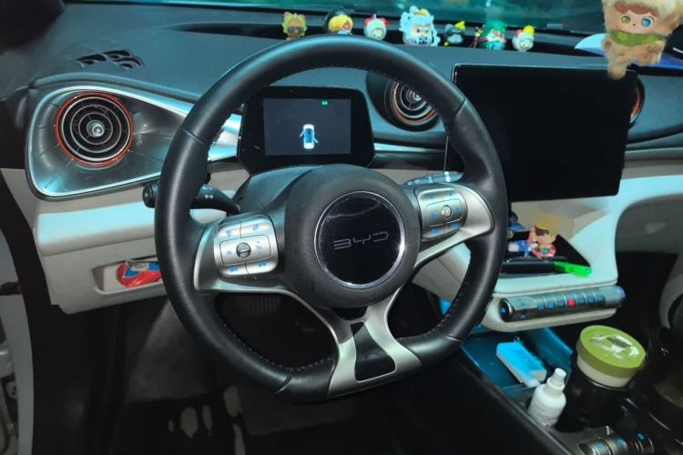 Used BYD Dolphin 2021 405 km Free Version Steering Wheel