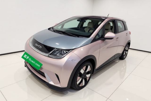 Used BYD Dolphin 2021 401km Knight Edition