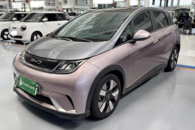 Used BYD Dolphin 2021 401km Knight Edition