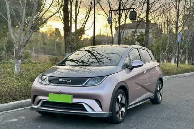 Used BYD Dolphin 2021 401km Knight Edition