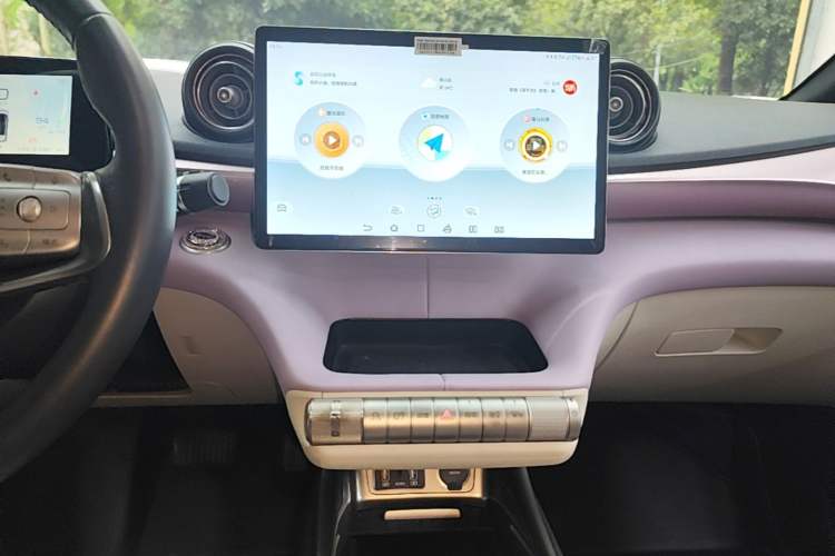 Used BYD Dolphin 2021 405 km Fashion Edition Audio And AC Panel