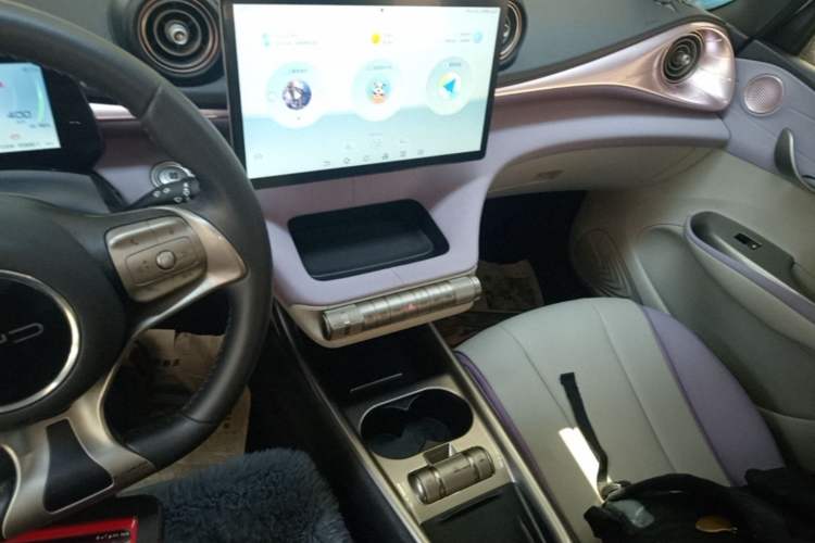 Used BYD Dolphin 2021 405 km Fashion Edition Audio And AC Panel