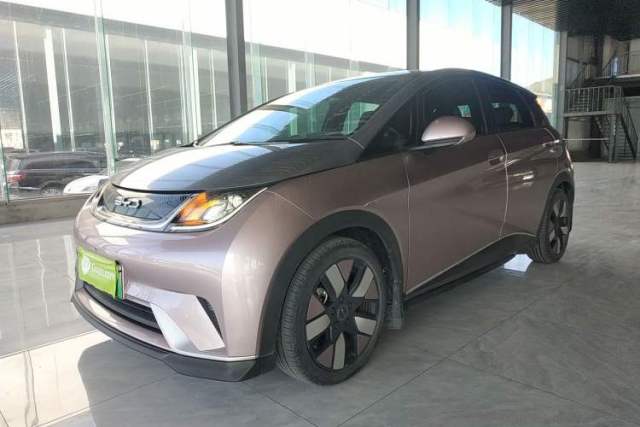 Used BYD Dolphin 2021 401km Knight Edition