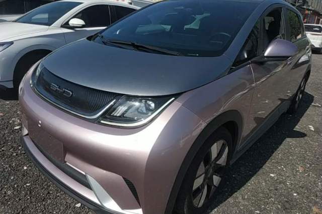 Used BYD Dolphin 2021 401km Knight Edition