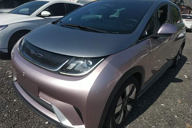 BYD Dolphin 2021 401km Knight Edition de segunda mano Guazi used car, China used car export, Used car for sale, Used  cars, Cheapest cars for sale