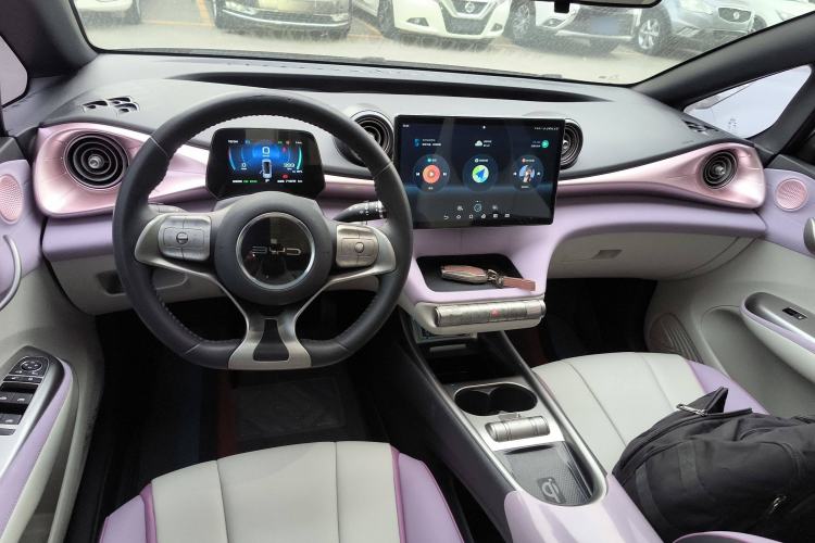 Used BYD Dolphin 2021 405 km Fashion Edition Center Console