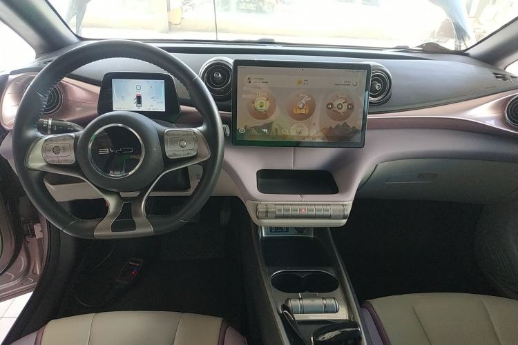 Used BYD Dolphin 2021 401km Knight Edition Center Console