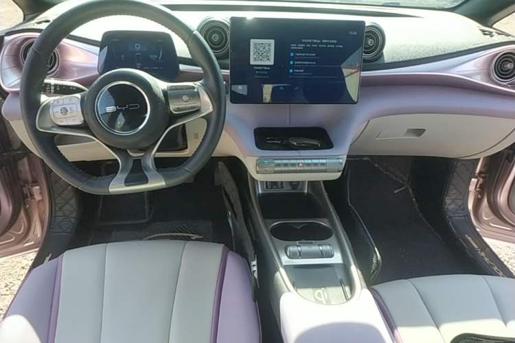 Used BYD Dolphin 2021 401km Knight Edition Center Console