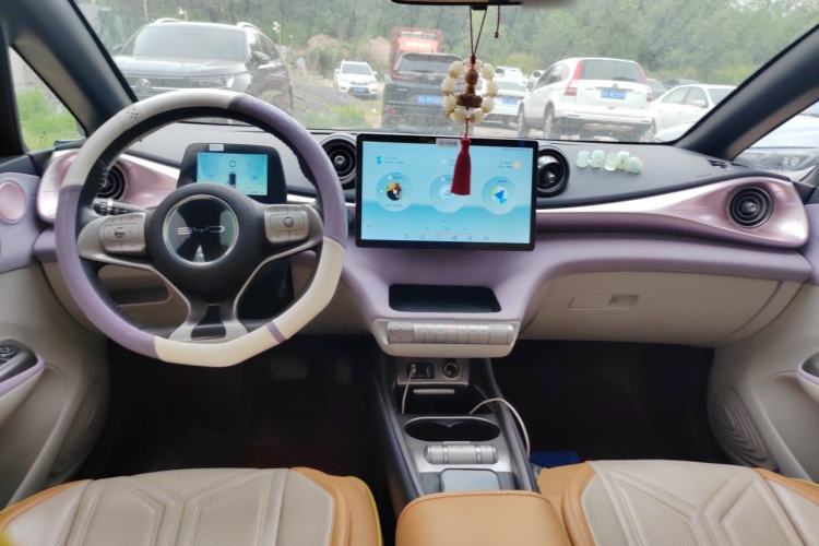 Used BYD Dolphin 2021 405 km Fashion Edition Center Console