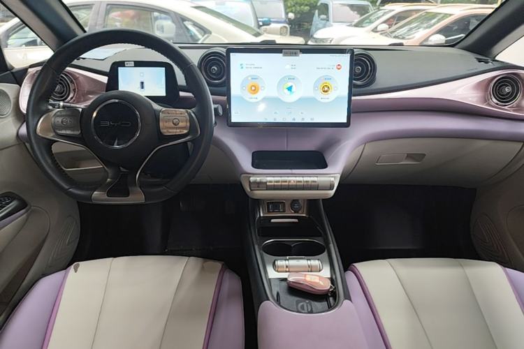 Used BYD Dolphin 2021 405 km Fashion Edition Center Console