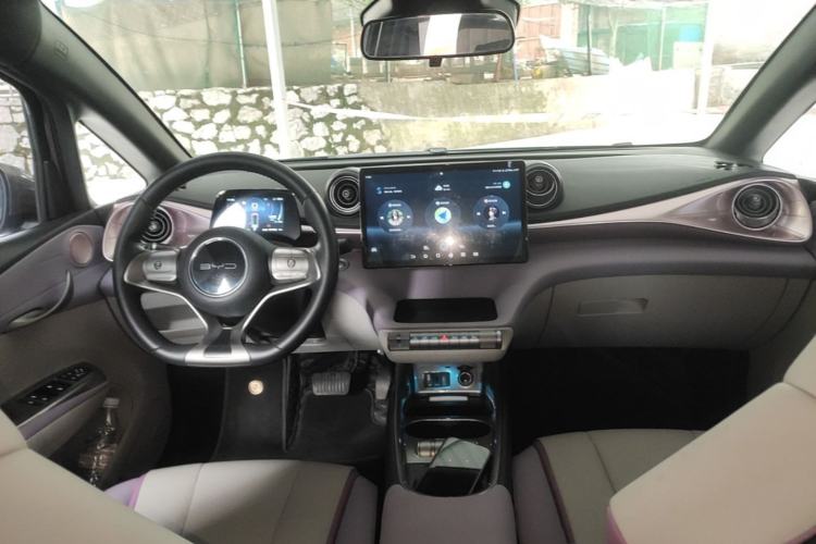 Used BYD Dolphin 2021 401km Knight Edition Center Console