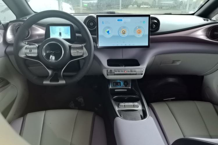 Used BYD Dolphin 2021 405 km Fashion Edition Center Console
