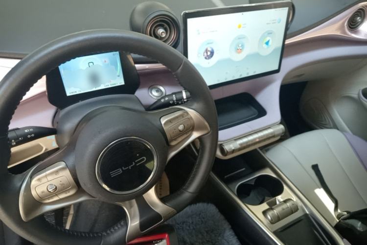 Used BYD Dolphin 2021 405 km Fashion Edition Center Console
