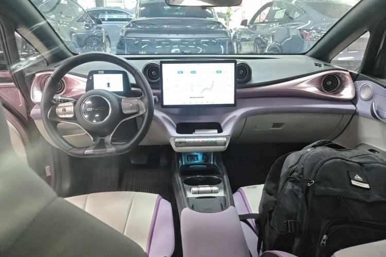 Used BYD Dolphin 2021 405 km Fashion Edition Center Console