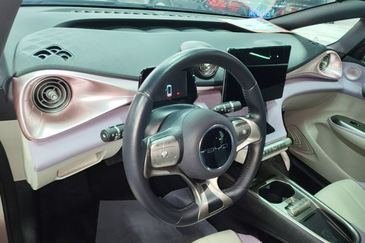 Used BYD Dolphin 2021 405 km Fashion Edition Center Console