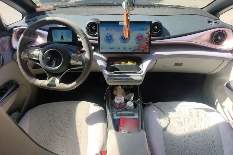Used BYD Dolphin 2021 405 km Fashion Edition Center Console