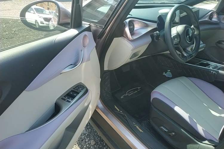 Used BYD Dolphin 2021 401km Knight Edition Driver Seat