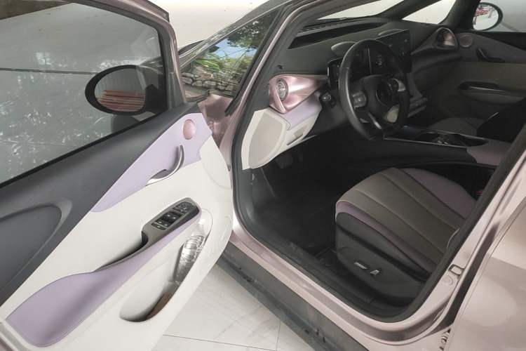 Used BYD Dolphin 2021 401km Knight Edition Driver Seat