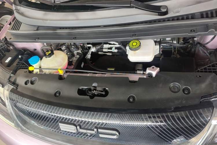 Used BYD Dolphin 2021 401km Knight Edition Engine Bay