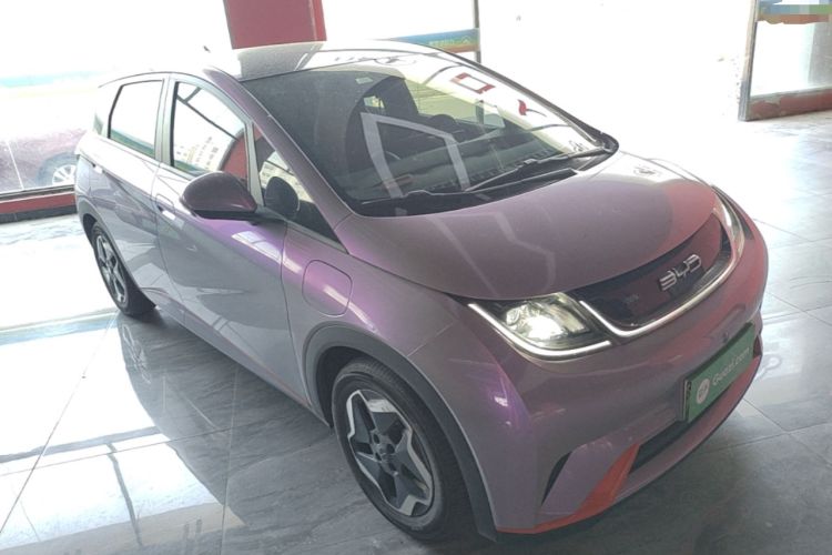 Used BYD Dolphin 2021 405 km Fashion Edition Exterior 1