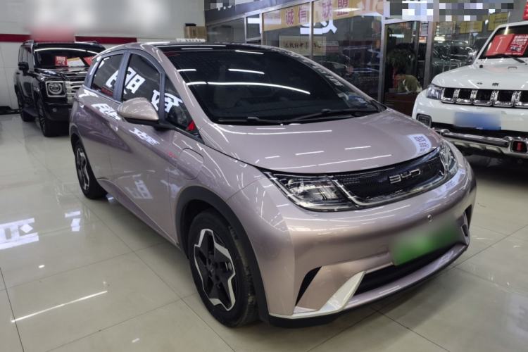 Used BYD Dolphin 2021 405 km Fashion Edition Exterior 1