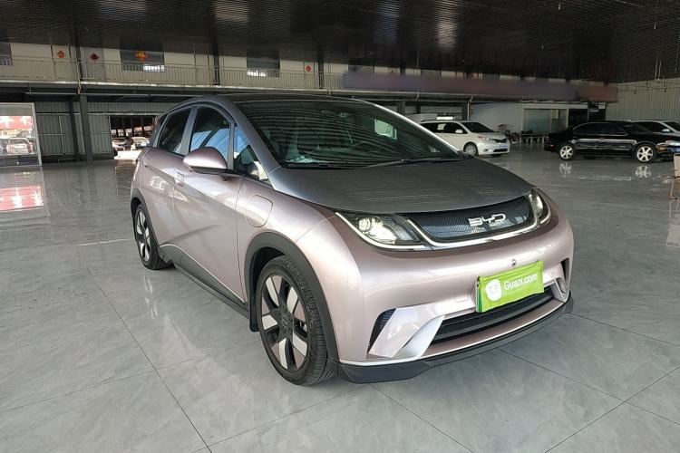 Used BYD Dolphin 2021 401km Knight Edition Exterior 1