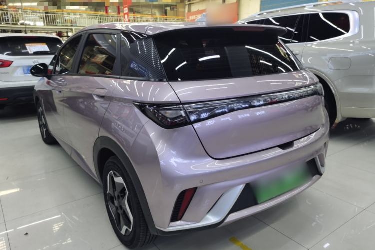 Used BYD Dolphin 2021 405 km Fashion Edition Exterior 2