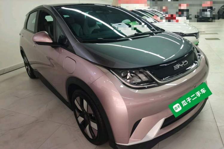 Used BYD Dolphin 2021 401km Knight Edition Exterior 2