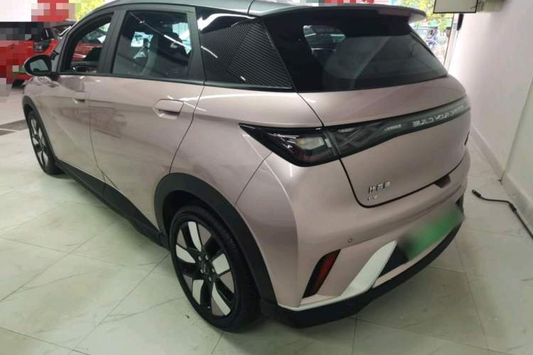 Used BYD Dolphin 2021 401km Knight Edition Exterior 3