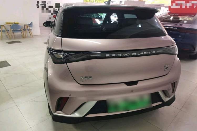 Used BYD Dolphin 2021 401km Knight Edition Exterior 4