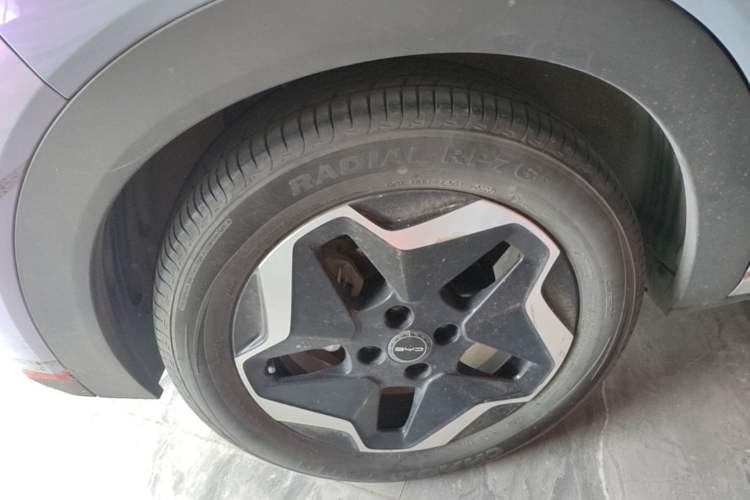 Used BYD Dolphin 2021 405 km Fashion Edition Exterior 5