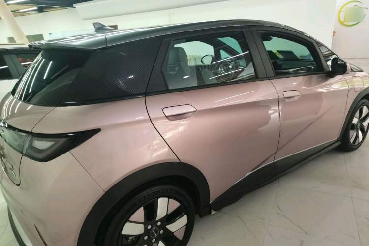 Used BYD Dolphin 2021 401km Knight Edition Exterior 5