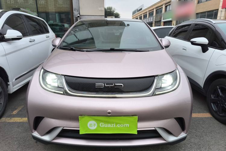 Used BYD Dolphin 2021 405 km Fashion Edition Front