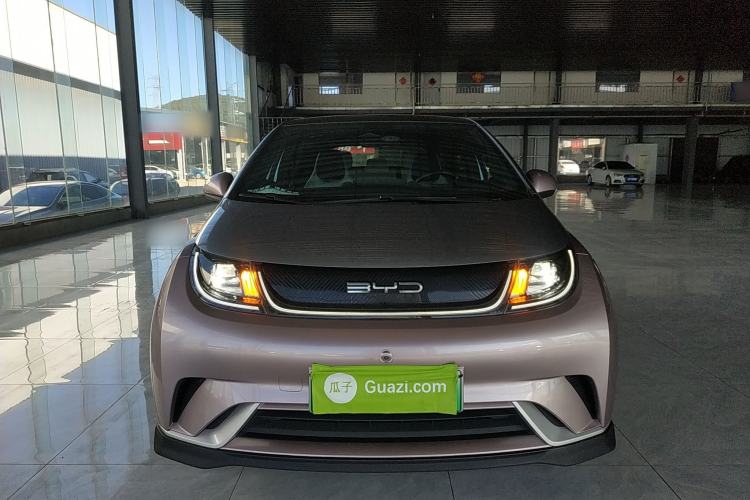 Used BYD Dolphin 2021 401km Knight Edition Front