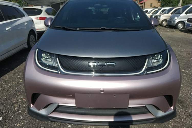 Used BYD Dolphin 2021 401km Knight Edition Front