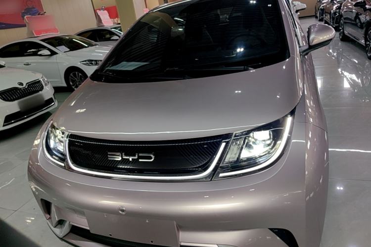 Used BYD Dolphin 2021 405 km Fashion Edition Front
