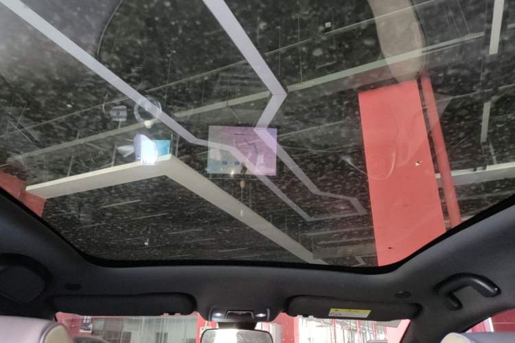 Used BYD Dolphin 2021 405 km Fashion Edition Headliner