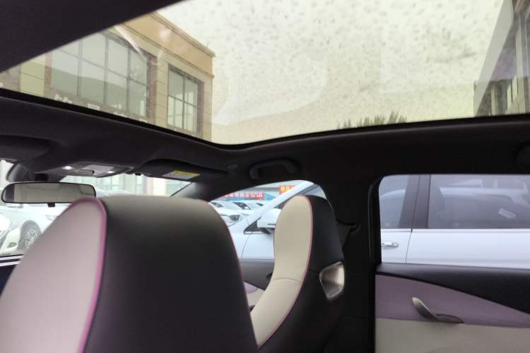 Used BYD Dolphin 2021 405 km Fashion Edition Headliner