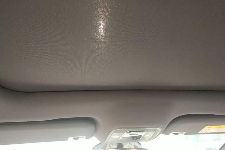 Used BYD Dolphin 2021 401km Knight Edition Headliner