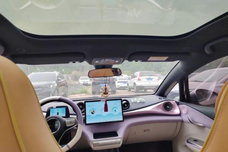 Used BYD Dolphin 2021 405 km Fashion Edition Headliner