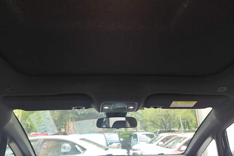 Used BYD Dolphin 2021 405 km Fashion Edition Headliner