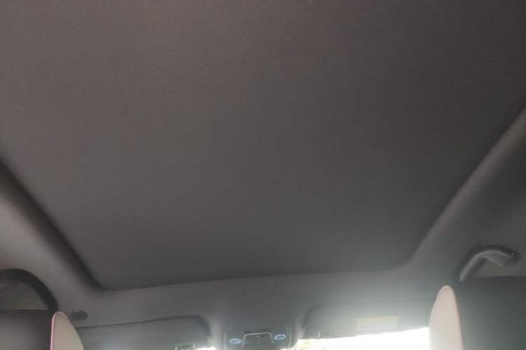 Used BYD Dolphin 2021 401km Knight Edition Headliner