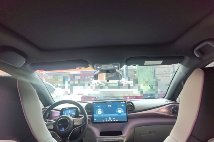 Used BYD Dolphin 2021 401km Knight Edition Headliner