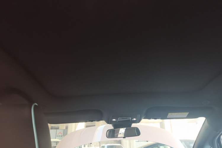 Used BYD Dolphin 2021 405 km Fashion Edition Headliner